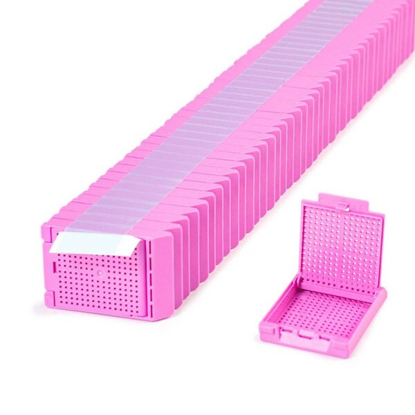 Hinged Biopsy Cassette, lilac